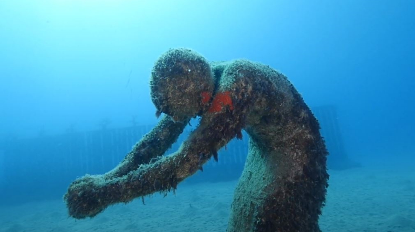 Jason DeCaires Taylor